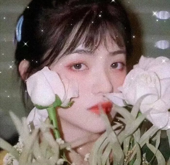 领头羊
